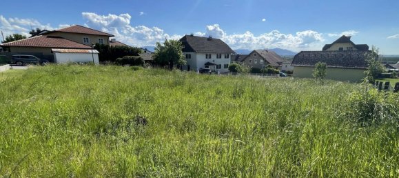 Land in Anthering, Austria No. 31280 5