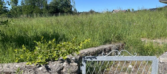 Land in Anthering, Austria No. 31280 2