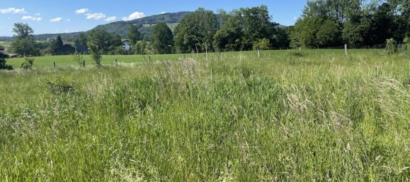 Land in Anthering, Austria No. 31280 3