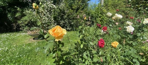 4-salle Maison à Soliera, Italy No. 233639 11