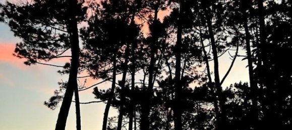 1401m² Land in Sintra, Portugal No. 120783 7