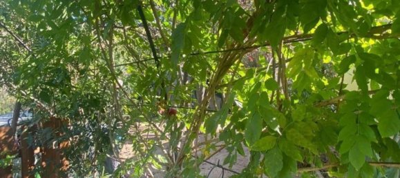 9-salle Maison à Volterra, Italy No. 204529 12