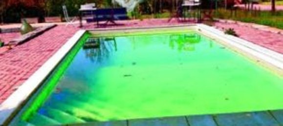 عقار تجاري في Gaiba, Italy 772متر مربع رقم 53444 17