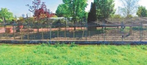 عقار تجاري في Gaiba, Italy 772متر مربع رقم 53444 3