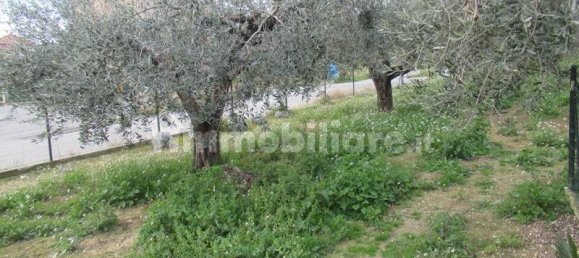 4 bedrooms Villa in Spoltore, Italy No. 89694 36