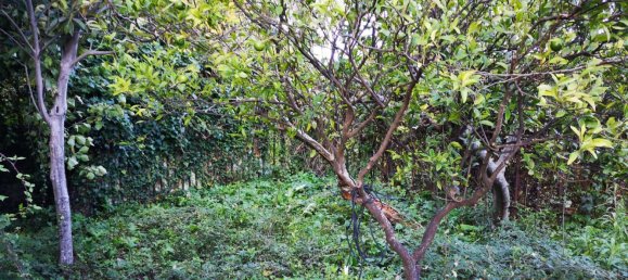 5-Zimmer Haus in Carini, Italy, Nr. 44629 35