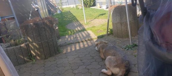 4-salle Maison de ville à Saarbrucken, Germany No. 58410 8