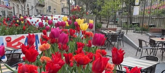 4-Zimmer Wohnung in Turin, Italy, Nr. 33107 32