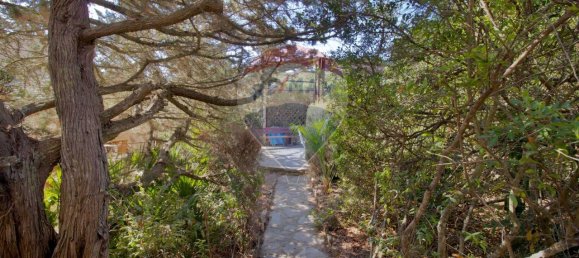 3 rooms Apartment in Stintino, Italy No. 236492 29