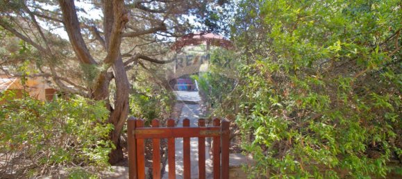 3 rooms Apartment in Stintino, Italy No. 236492 7