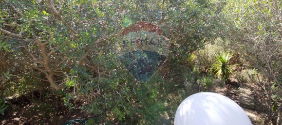 3 rooms Apartment in Stintino, Italy No. 236492 33