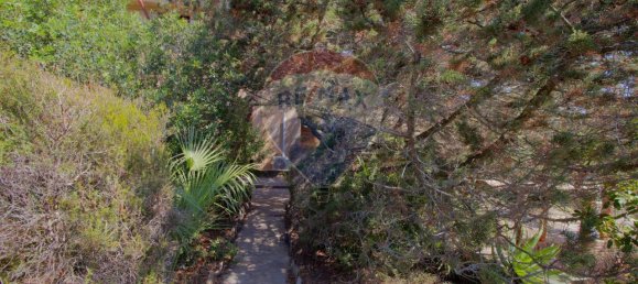 3 rooms Apartment in Stintino, Italy No. 236492 30