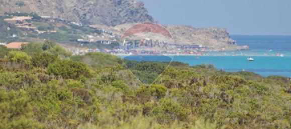 3 rooms Apartment in Stintino, Italy No. 236492 39