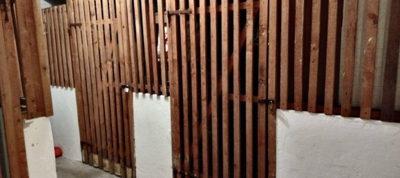 Apartamento de 2 habitaciónes en Wels, Austria No. 218561 9