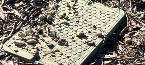 Terrain à Épieds-en-Beauce, France 645m² No. 227242 8