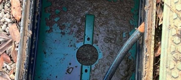 Terrain à Épieds-en-Beauce, France 645m² No. 227242 9