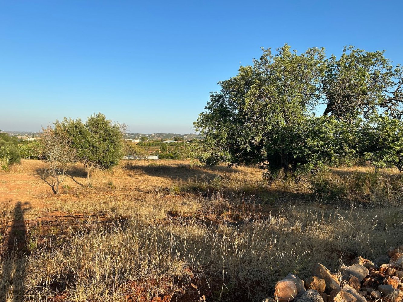 Terreno em Silves, Portugal N.º 298265