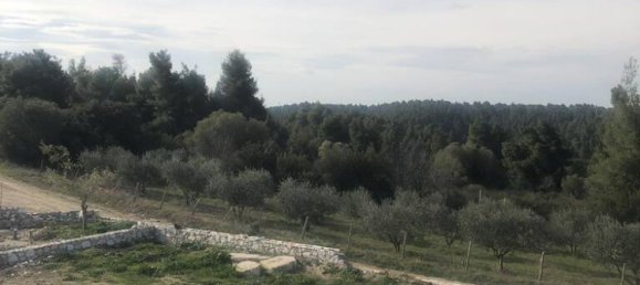 3 Schlafzimmer Villa in Chalkidiki, Greece, Nr. 3208 11