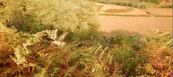 6-Zimmer Wohnung in Lariano, Italy, Nr. 204564 7