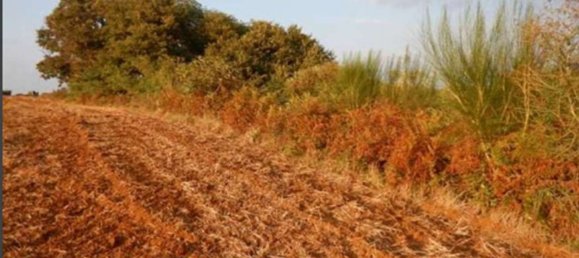 6-Zimmer Wohnung in Lariano, Italy, Nr. 204564 6