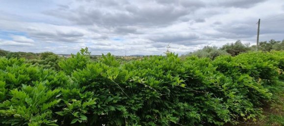 Casa T3 em Penha Garcia, Portugal N.º 93179 20