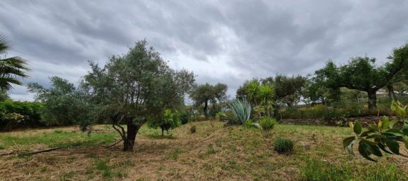 Casa T3 em Penha Garcia, Portugal N.º 93179 17