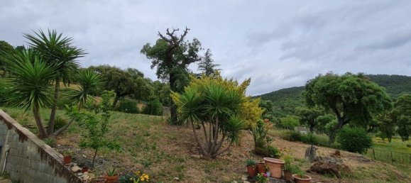 Casa T3 em Penha Garcia, Portugal N.º 93179 22