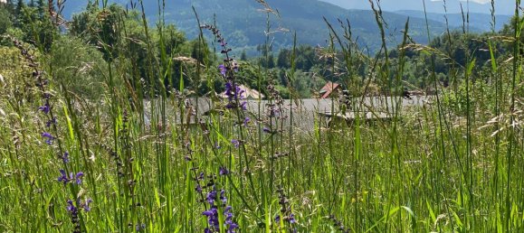  Land in Portschach am Worther See, Austria No. 239316 3