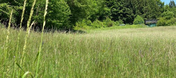  Land in Portschach am Worther See, Austria No. 239316 2