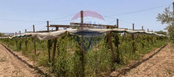 2 bedrooms Villa in Chiaramonte Gulfi, Italy No. 265324 50