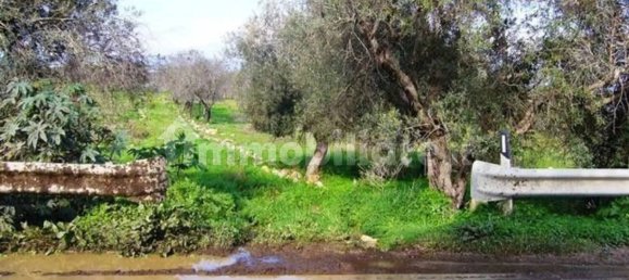 Дом с 3 спальнями в Пакино, Италия № 66601 9