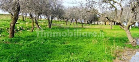 Дом с 3 спальнями в Пакино, Италия № 66601 8