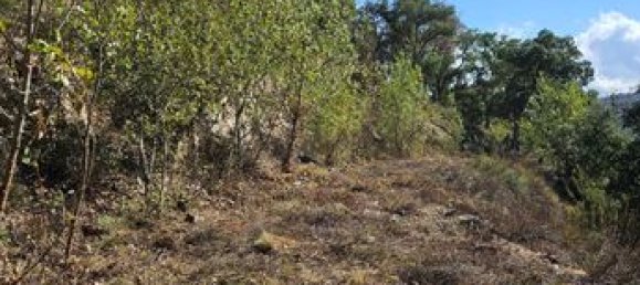 18305m² Land in Arles-sur-Tech, France No. 112490 10