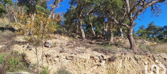 18305m² Land in Arles-sur-Tech, France No. 112490 2