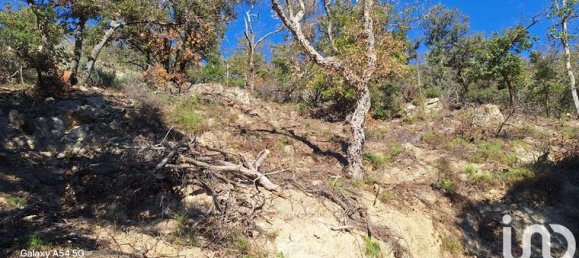 18305m² Land in Arles-sur-Tech, France No. 112490 4