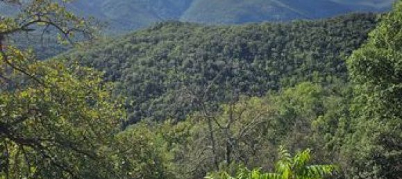 18305m² Land in Arles-sur-Tech, France No. 112490 12