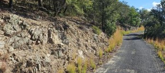 18305m² Land in Arles-sur-Tech, France No. 112490 9