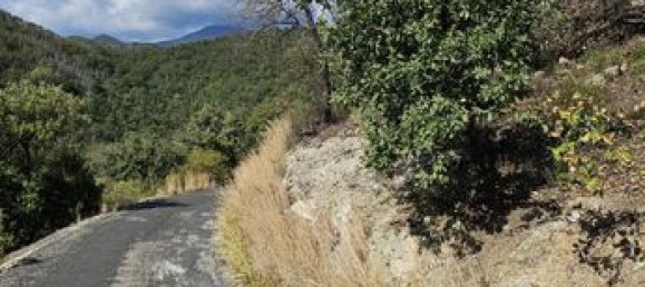 18305m² Land in Arles-sur-Tech, France No. 112490 8