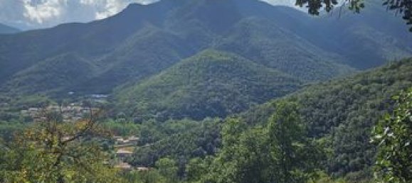 18305m² Land in Arles-sur-Tech, France No. 112490 13