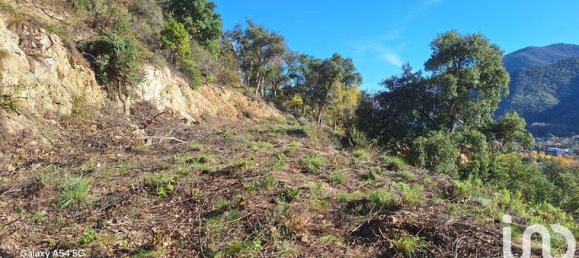 18305m² Land in Arles-sur-Tech, France No. 112490 7