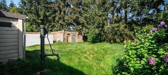 6 rooms House in Mecklenburgische Seenplatte, Germany No. 189041 5