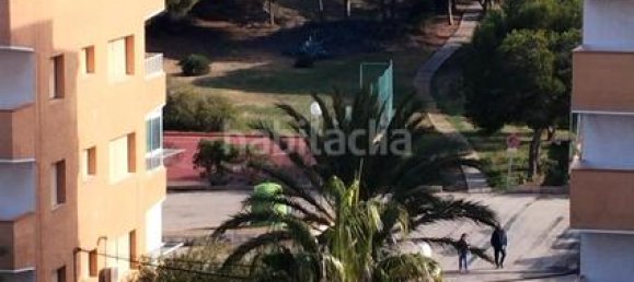 Квартира с 2 спальнями в Гуардамар-дель-Сегура, Испания № 28454 11