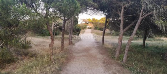 Квартира с 2 спальнями в Гуардамар-дель-Сегура, Испания № 28454 12