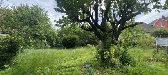 Terrain à Mundolsheim, France 443m² No. 65811 2