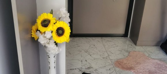 Apartment 1+1 in Mersin, Turkey No. 23031 13