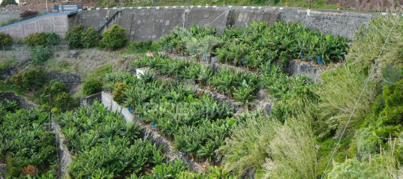 2295m² Land in Calheta, Portugal No. 141157 7