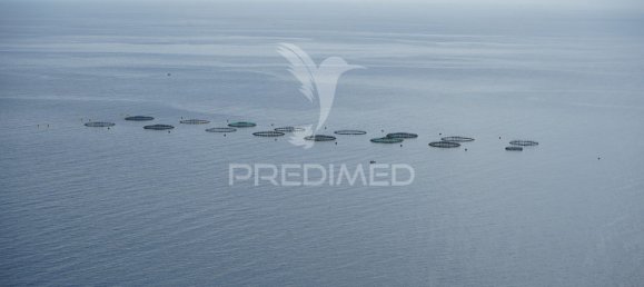 2295m² Land in Calheta, Portugal No. 141157 8