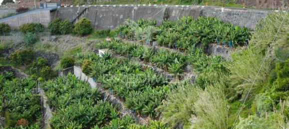 2295m² Land in Calheta, Portugal No. 141157 5