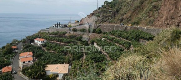 2295m² Land in Calheta, Portugal No. 141157 12