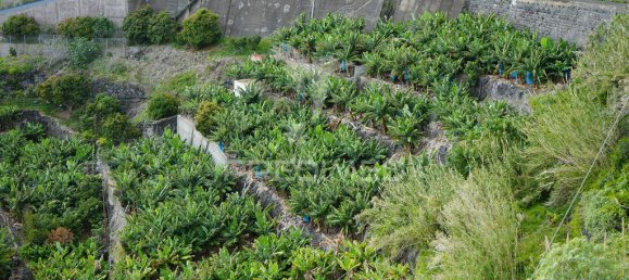 2295m² Land in Calheta, Portugal No. 141157 3